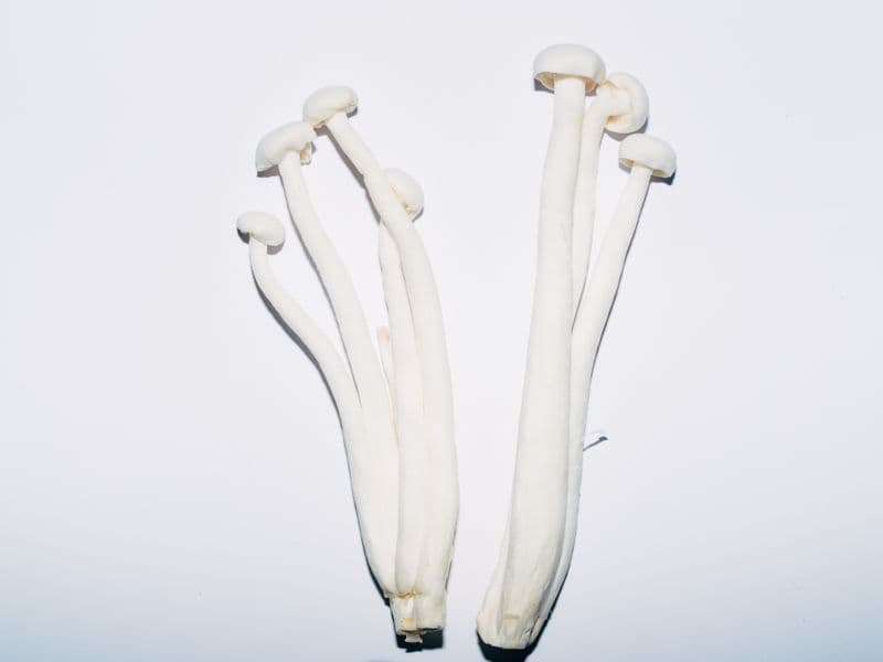 Enoki mushrooms, raw