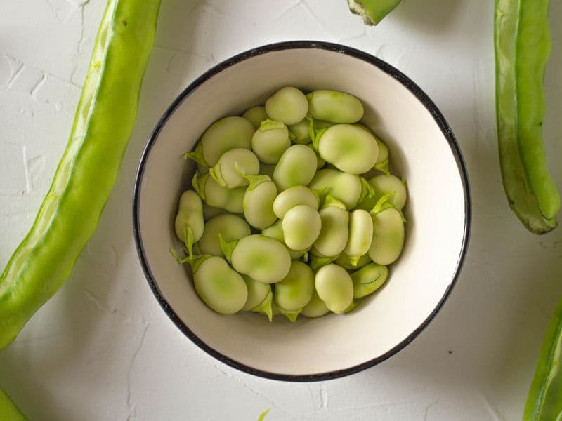 Fava beans, fresh, cooked