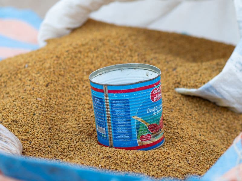 Fenugreek seed