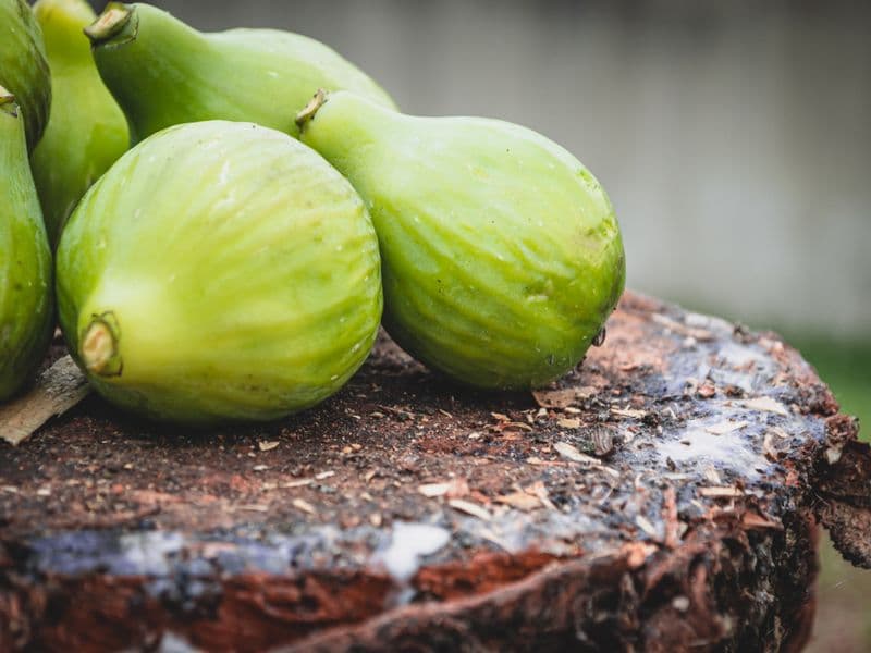 Fig, raw