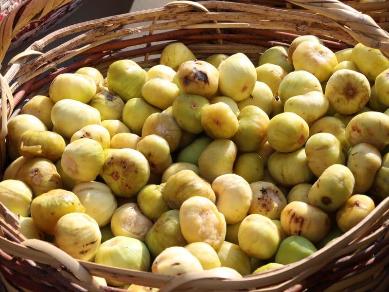 Figs, dried