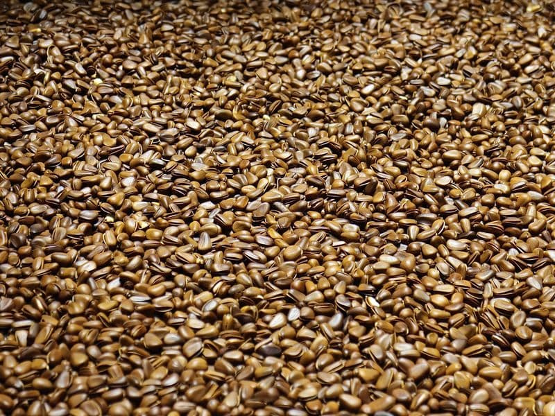 Flaxseed oil