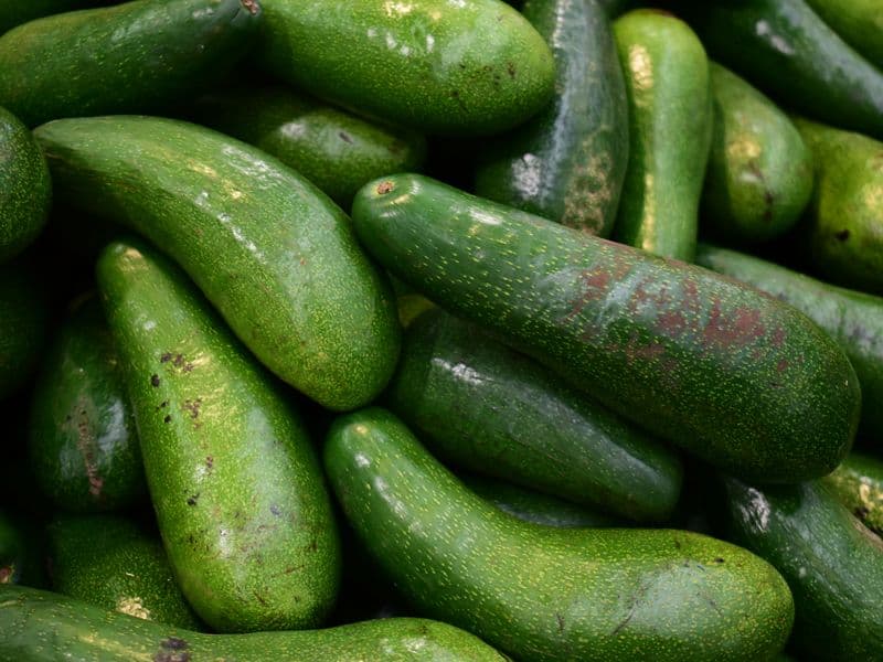 Florida avocado, raw