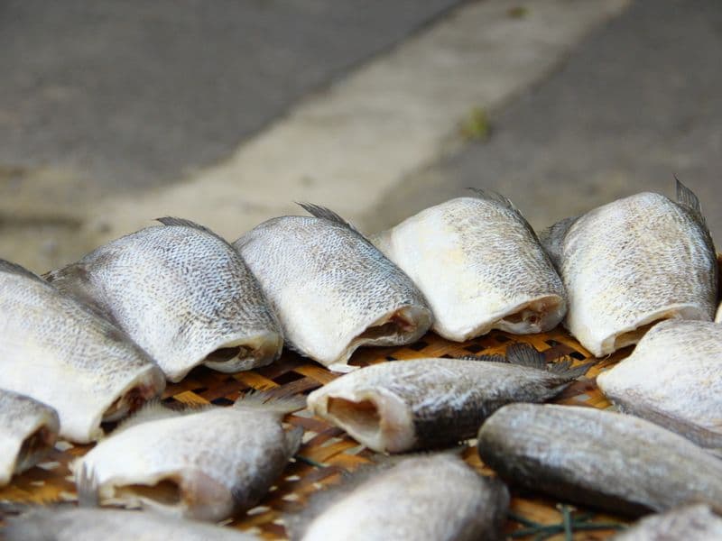 Freshwater drum, cooked