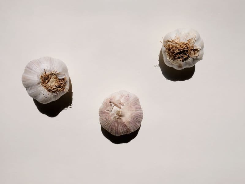 Garlic, raw