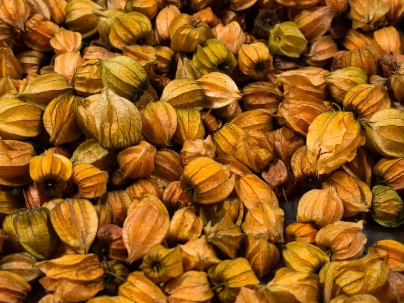 Gooseberries, raw