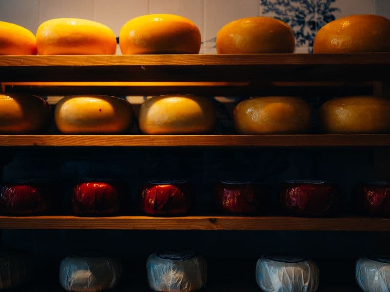 Gouda cheese