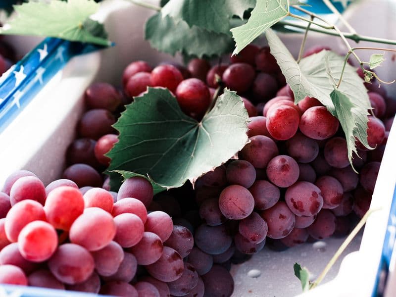 Grapes, canned