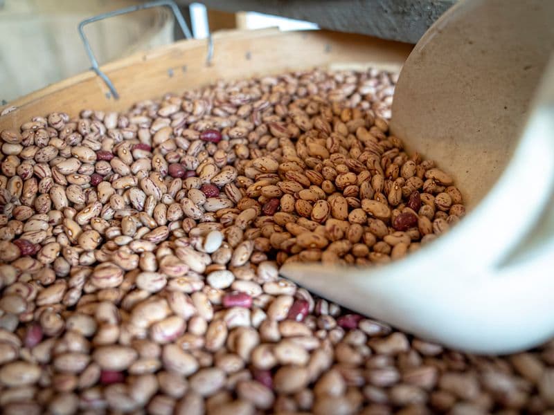 Great northern beans, canned