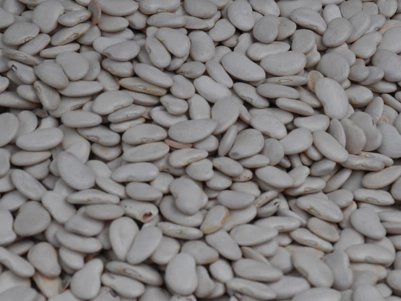 Great northern beans, cooked