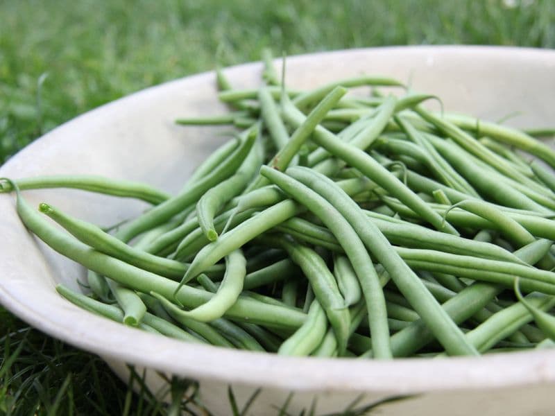 Green beans, canned