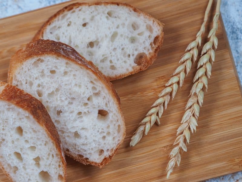 Hard red winter wheat