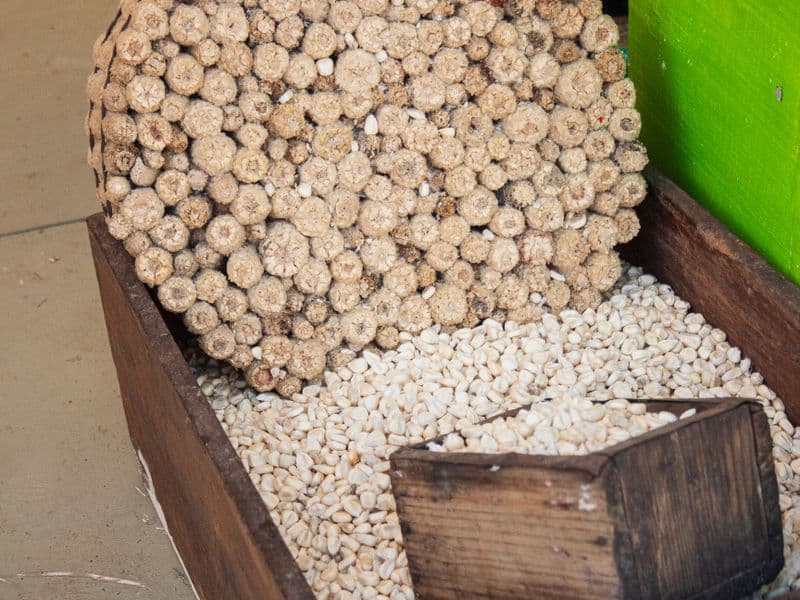 Hominy, canned