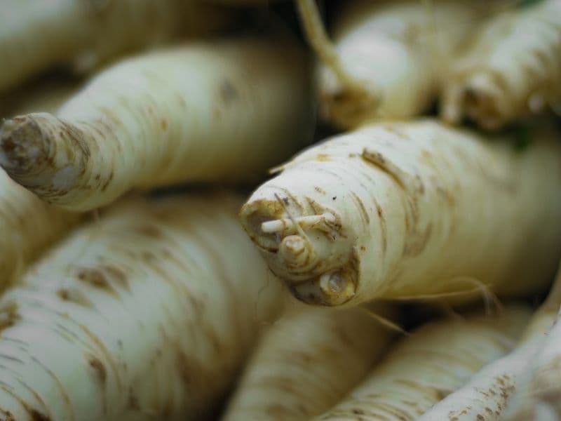 Horseradish, prepared