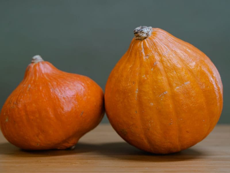 Hubbard squash, cooked