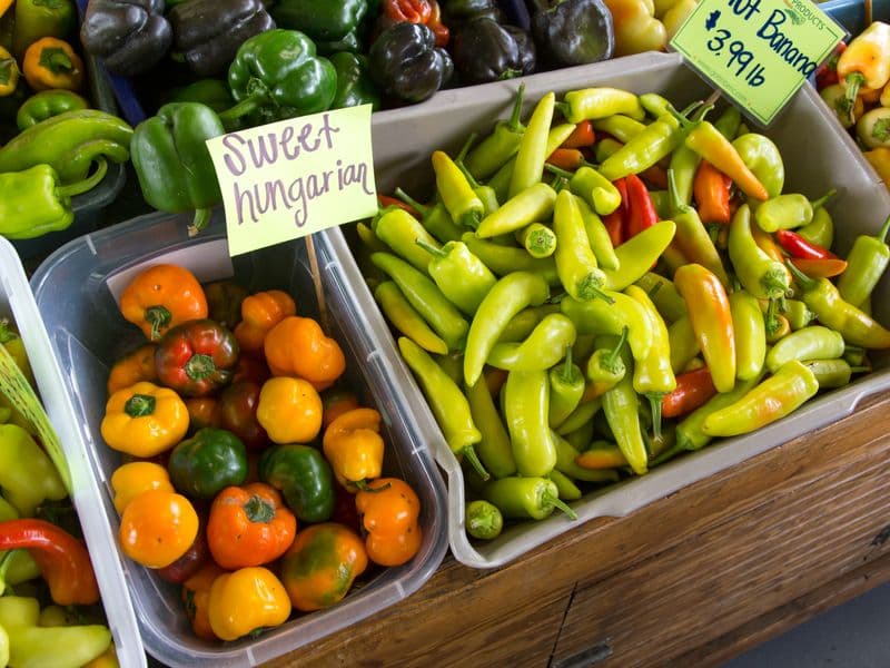Hungarian peppers, raw