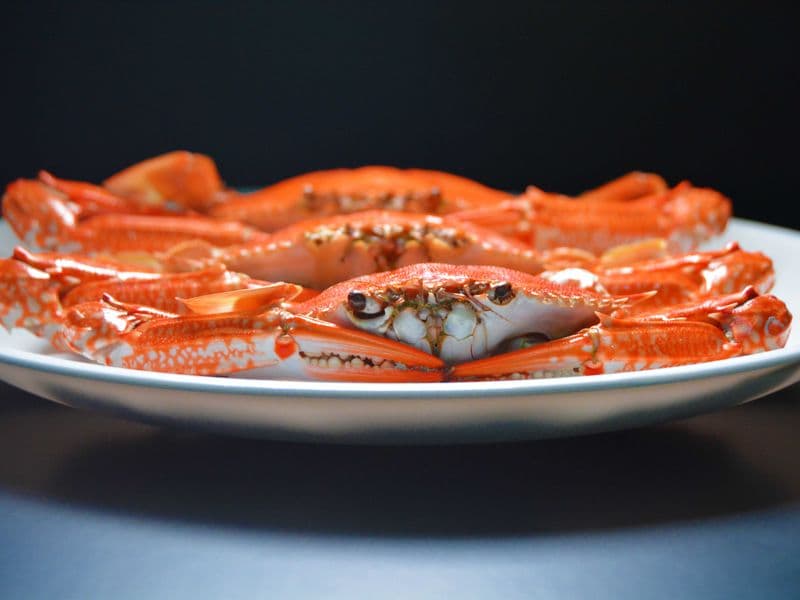Imitation crab