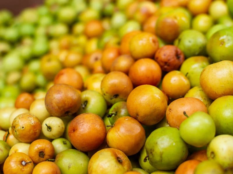 Jujube, raw