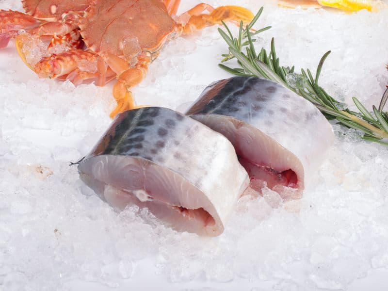 King mackerel, cooked