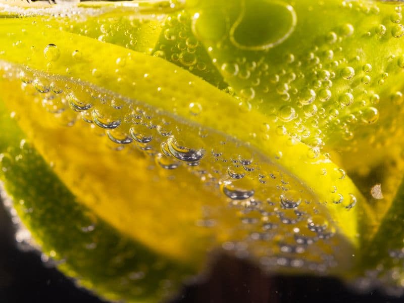 Lemon-lime soda
