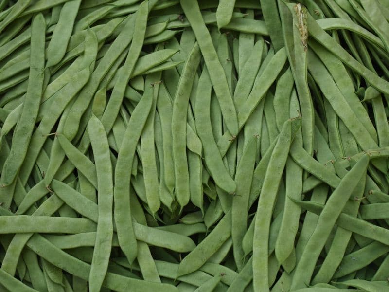 Lima beans, canned
