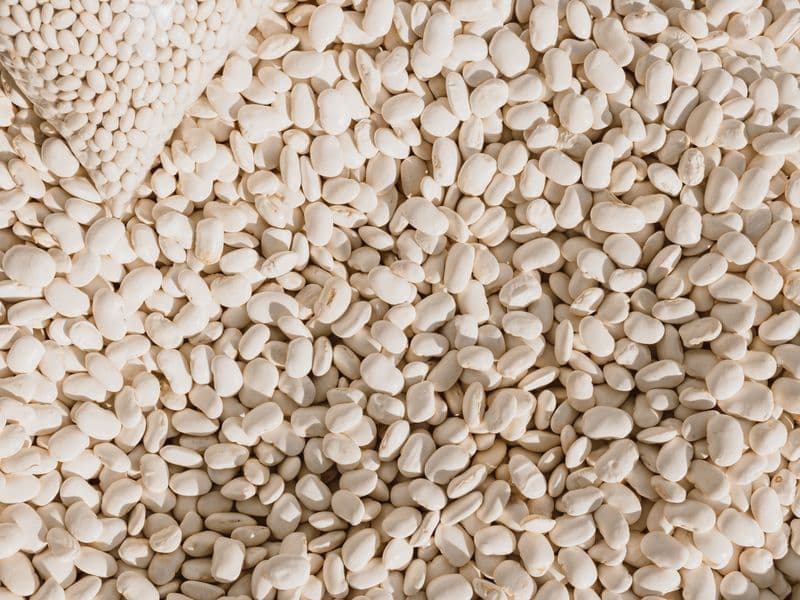Lima beans, cooked