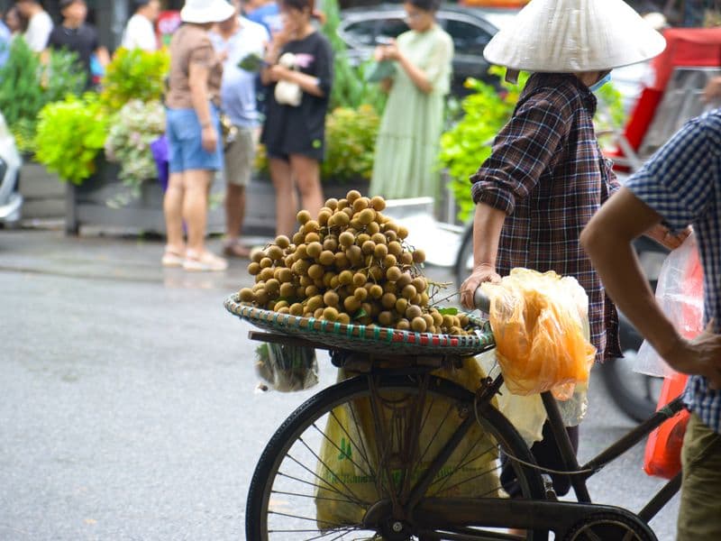 Longan, dried