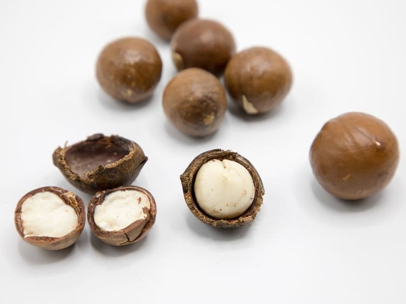 Macadamia nuts
