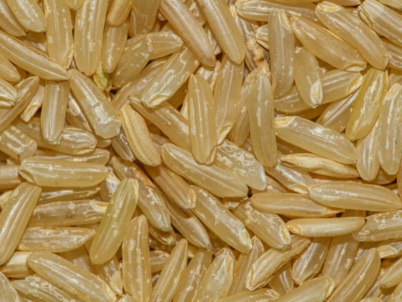 Medium-grain brown rice, cooked