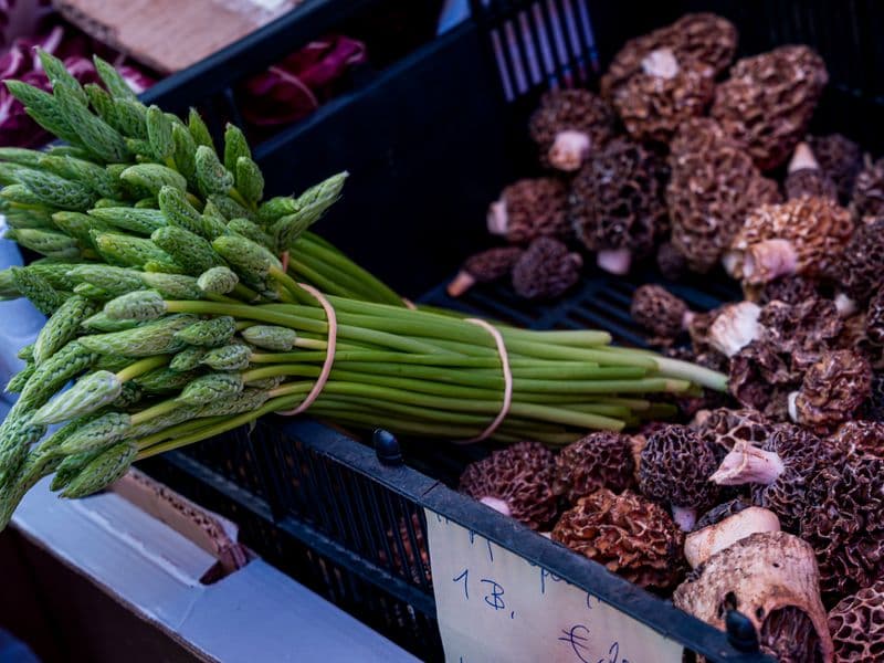 Morel mushroom, raw