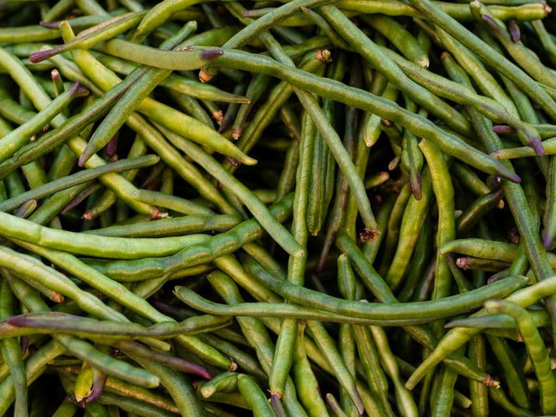 Moringa pods, cooked