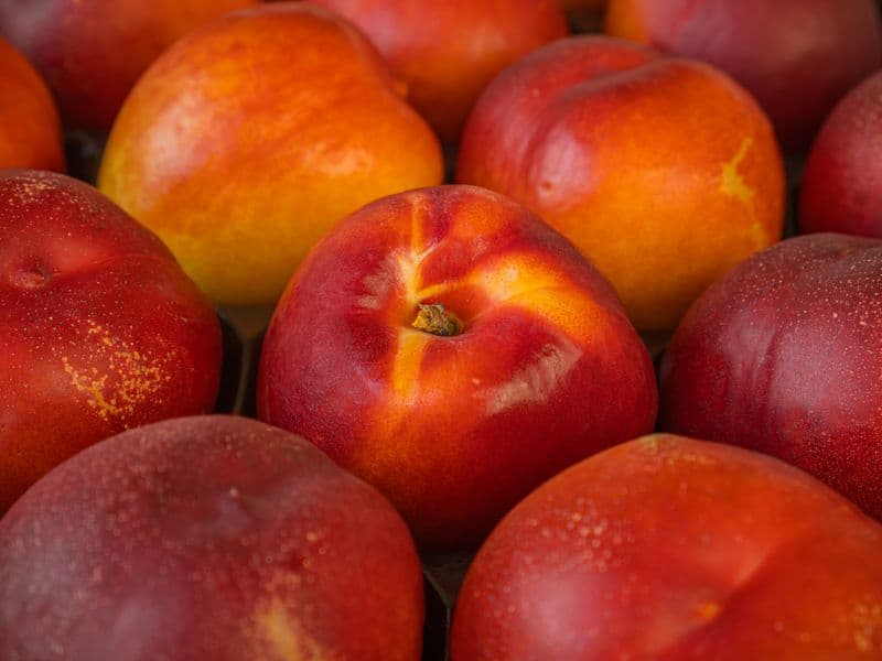 Nectarine, raw