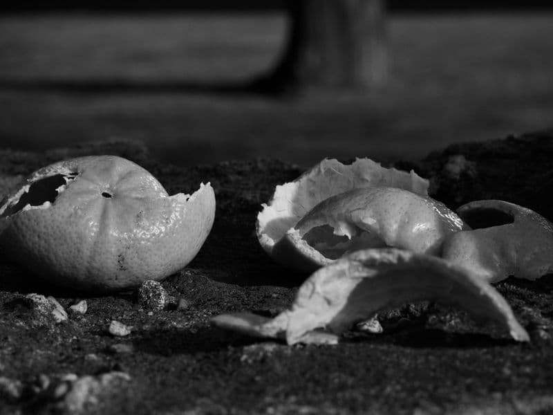 Orange peel, raw