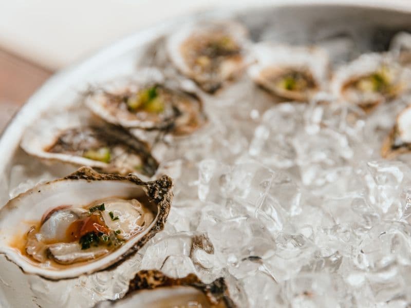 Oyster stew