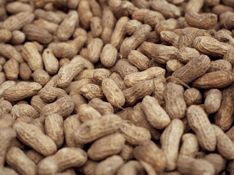 Peanuts, raw