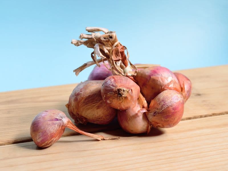 Pearl onions, cooked