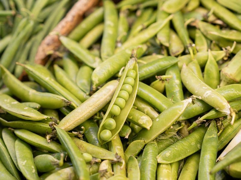 Green peas, canned