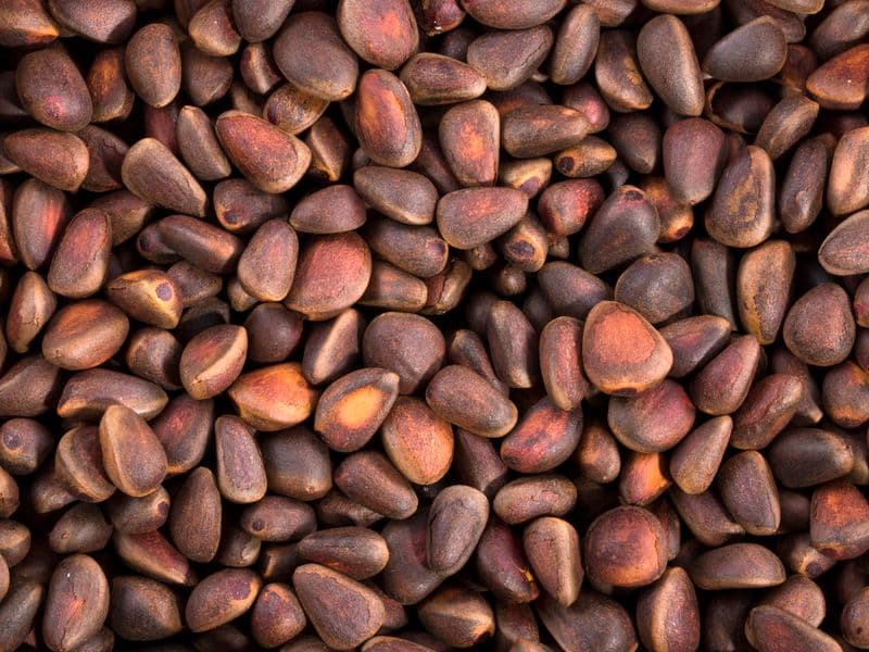 Pine nuts