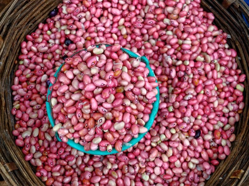 Pink beans, cooked