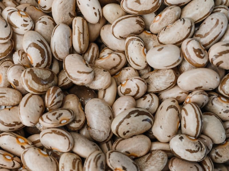 Pinto beans, cooked