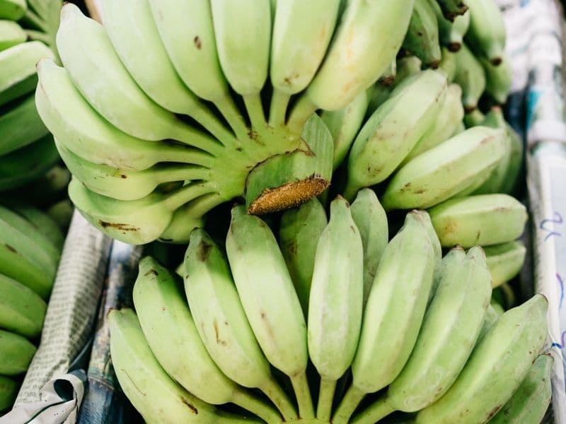 Plantains, cooked