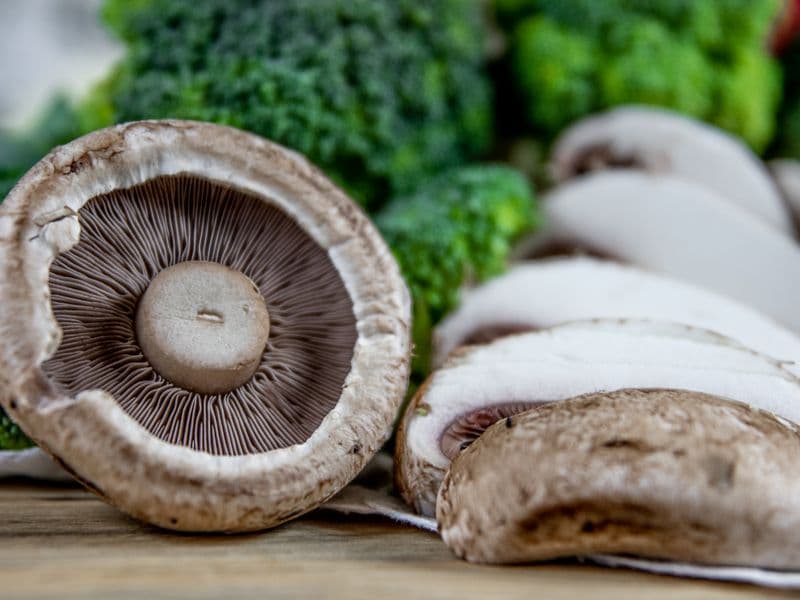 Portabella mushroom, raw