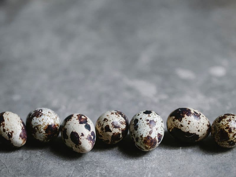 Quail egg, raw