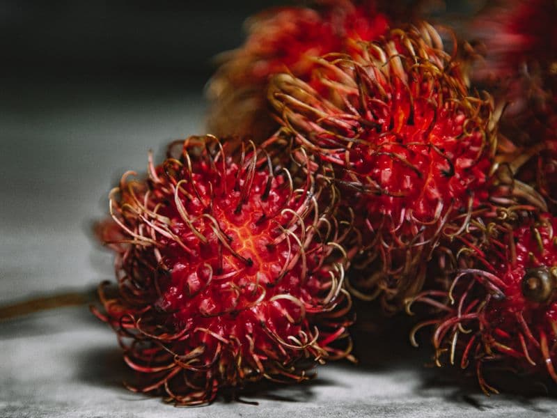 Rambutan, canned