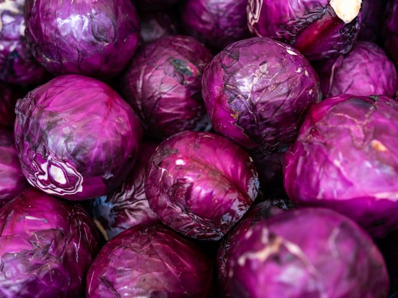 Red cabbage, cooked