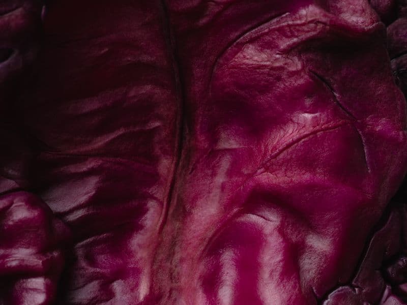 Red cabbage, raw