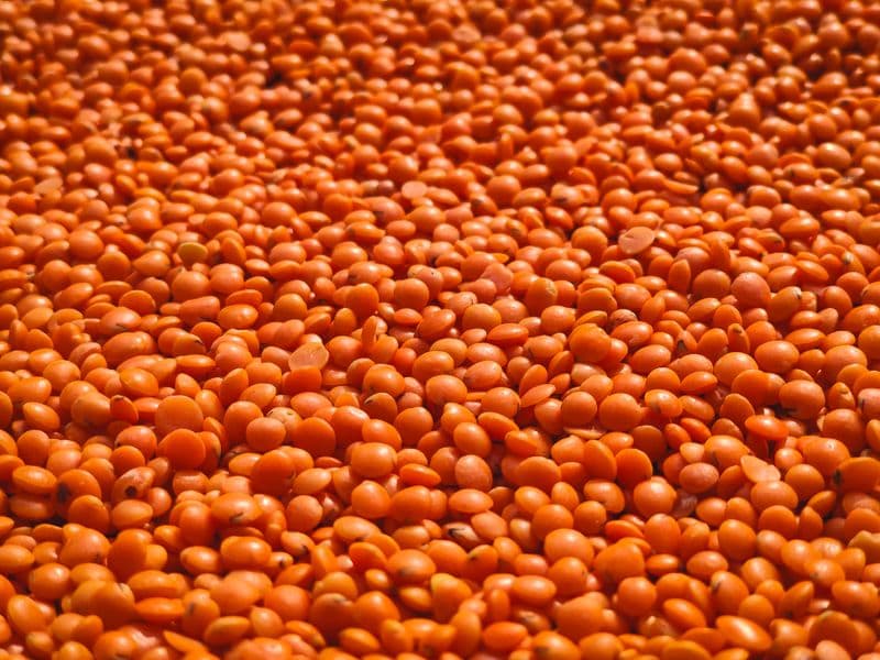 Red lentils, cooked