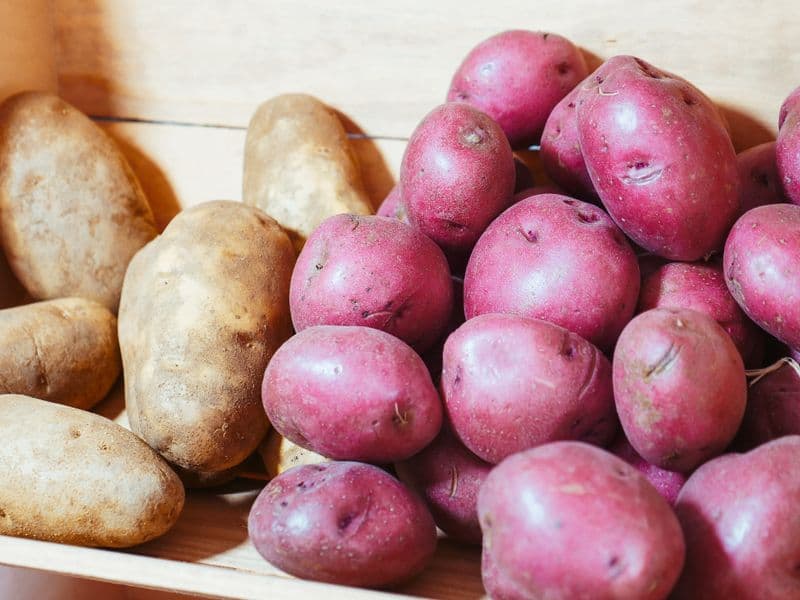 Red potato, baked