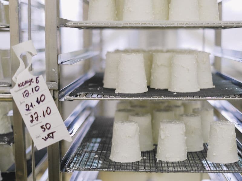 Ricotta cheese
