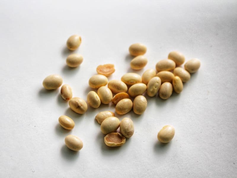 Roasted soybeans